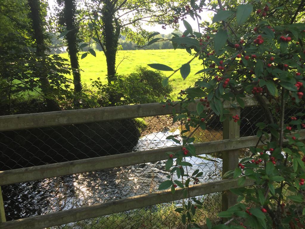 Riverbank, Country Pub And Guesthouse Carrickmacross Exterior foto
